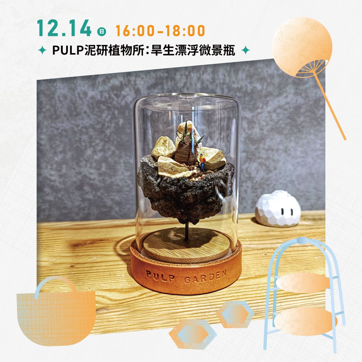 旱生漂浮微景瓶