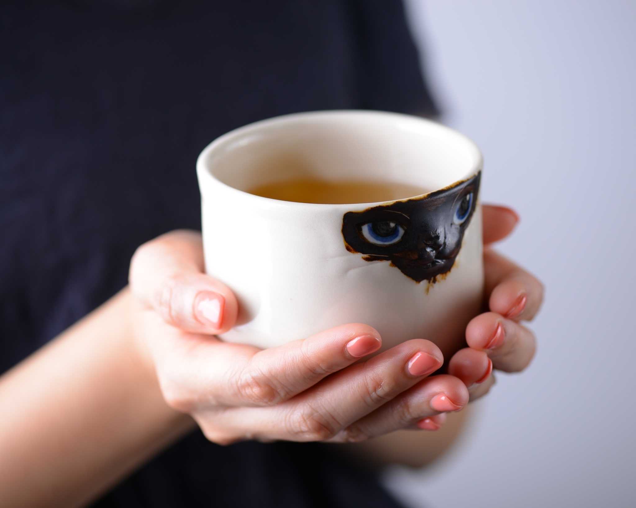 貓咪手握杯