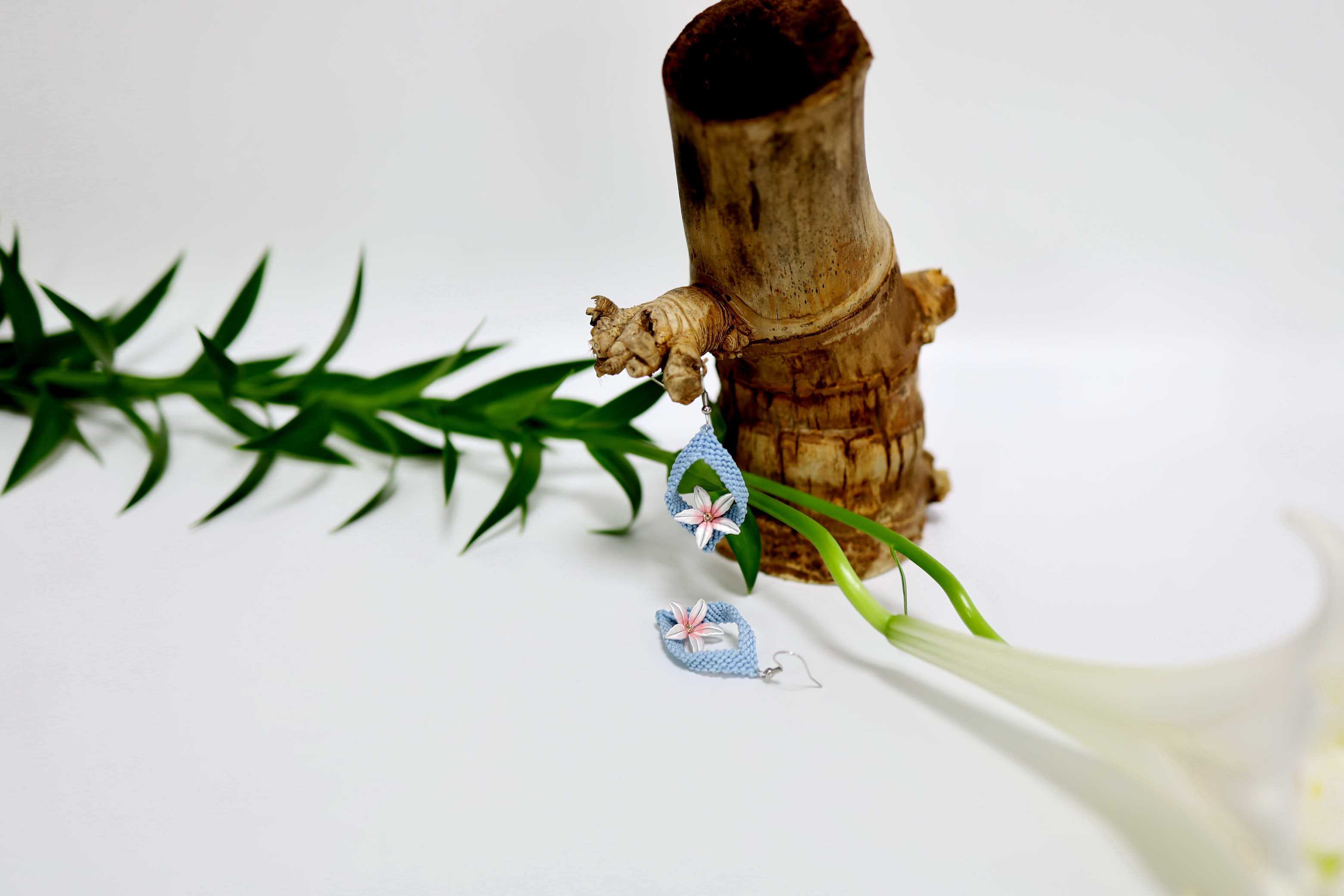 油桐花開 Tung oil flowers bloom