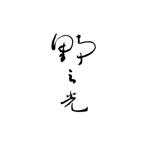 野之光